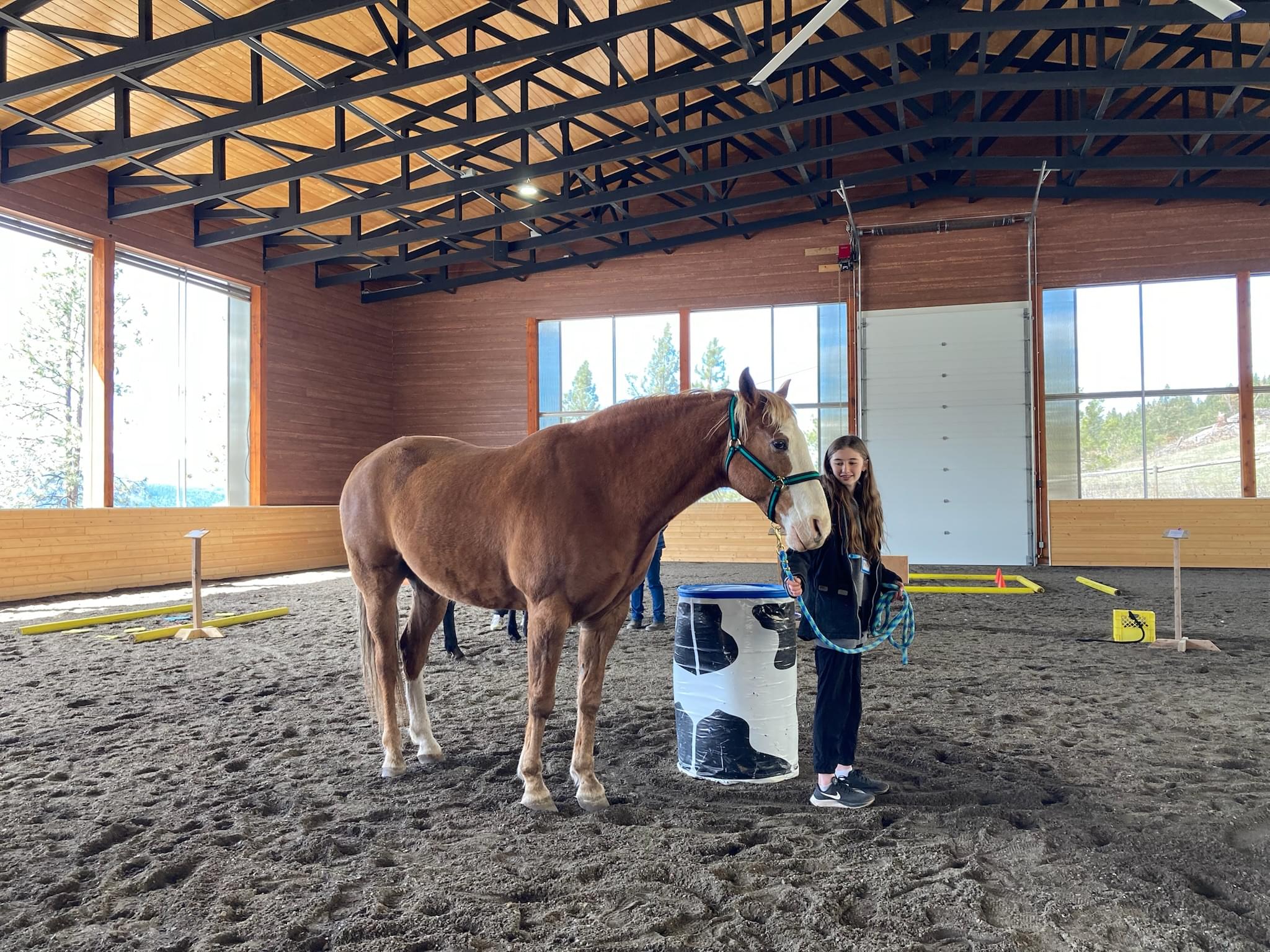 Why choose horseworks?